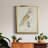 " Barn Owl " Painting Print