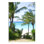 Palmiers près de la plage par Noah Bay - reproduction