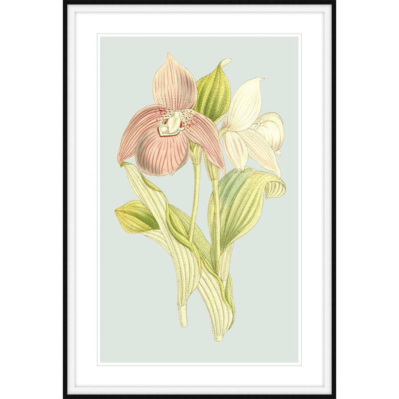 Forget Me Not 2 Print by Art House Studios, 11" H x 8" W x 2" D
