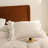 W-XHZK-WH Vintage Ruffled Fringe Duvet Cover Set White Ruffled Comforter Cover-1756326450-1759146444