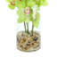 Vase Orchidée