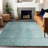 Premium Machine Washable Prisco Teal Rug-1374245438