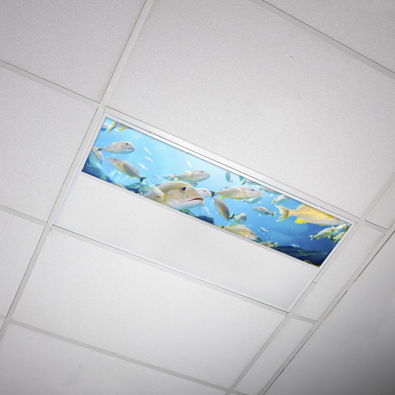 Ocean Rectangle Fixture Component Ceiling Light
