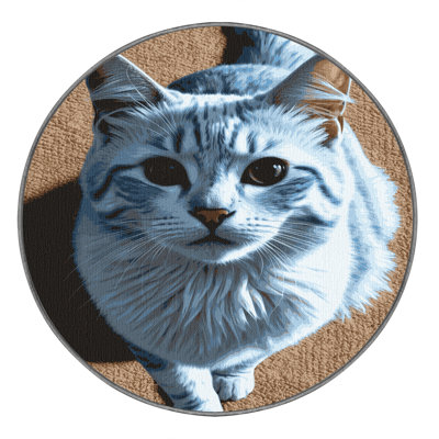 Washable Russian White Cats Area Rug