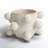 Jalonte Ceramic Pot Planter