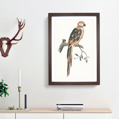 A Parrot by Johan Teyler - Single Picture Frame Painting