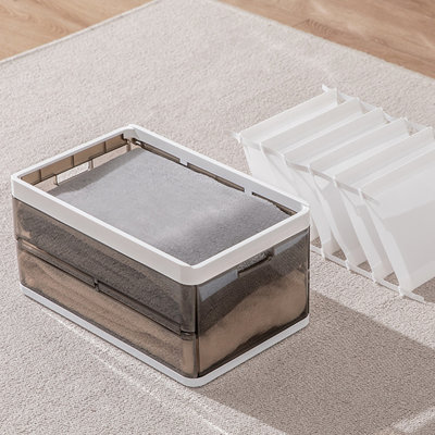 Rebrilliant Plastic Storage Tub & Tote