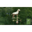 Girouette Labrador Retriever-3133712-12272462