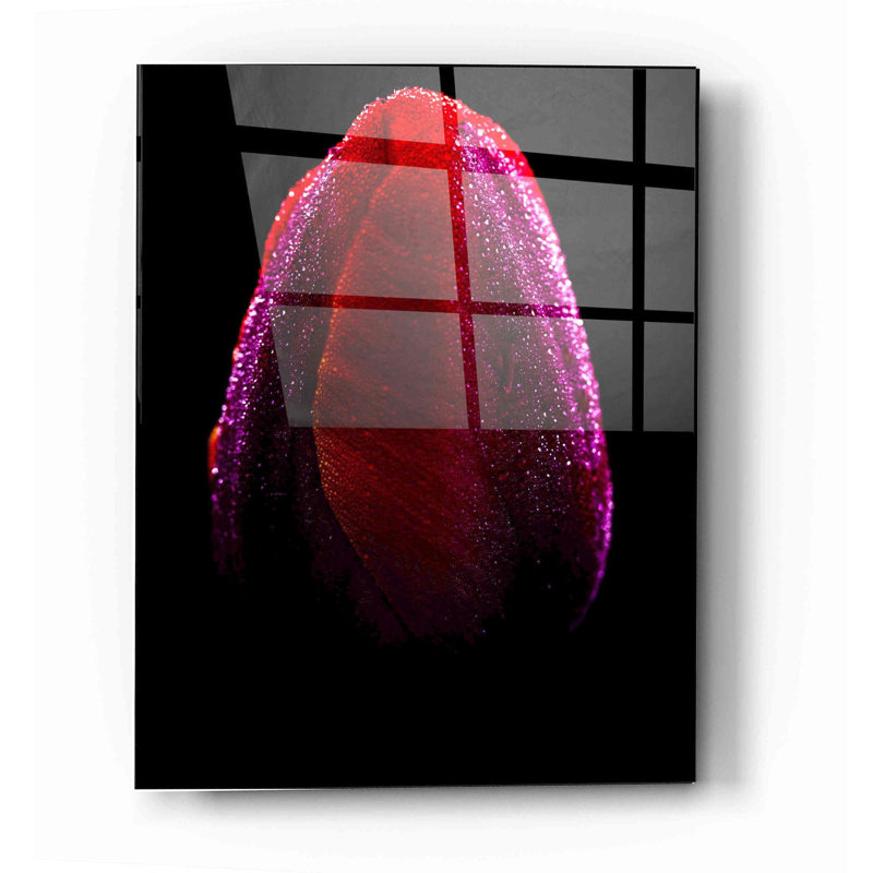 «Wet» par Darren White, art mural en verre acrylique, L 16 po x H 24 po