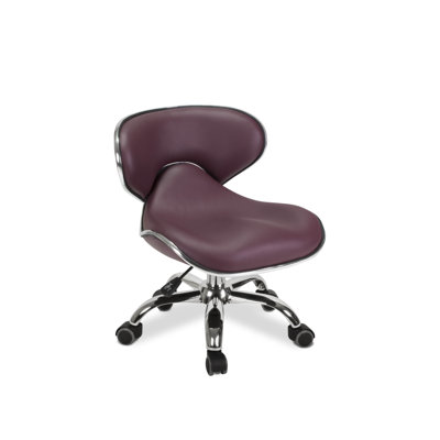 Waimes Backed Adjustable Height Ergonomic Lab Stool
