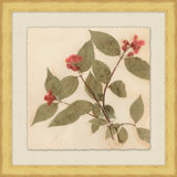 Pressed Flowers 1 Print