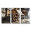 «Brown Rustic Barrels Charm IV», ensemble d'art mural rustique-107200498-107200501