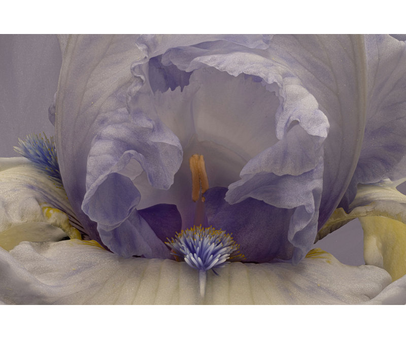 Wrapped Canvas Print, 50.8 cm H x 76.2 cm W