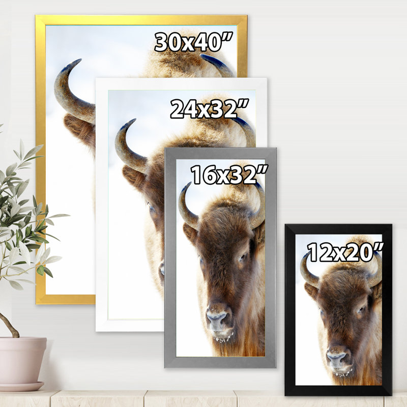 Portrait de bison sauvage - Photographie sur toile, Encadrement argenté, H 32 po x l 16 po x P 1 po