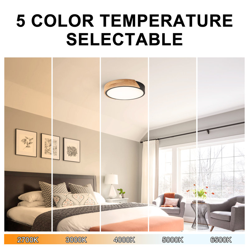Beezie Acrylic LED Flush Mount