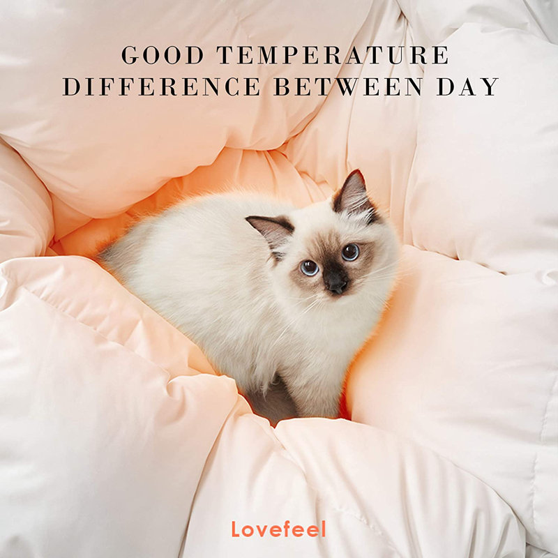 Winter Down Blend Down Comforter, Queen