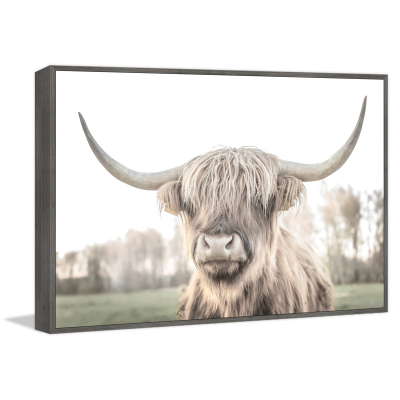 Cattle Portrait - Print, Floater Grey Framed Canvas, 61cm H x 61cm W x 3.81cm D
