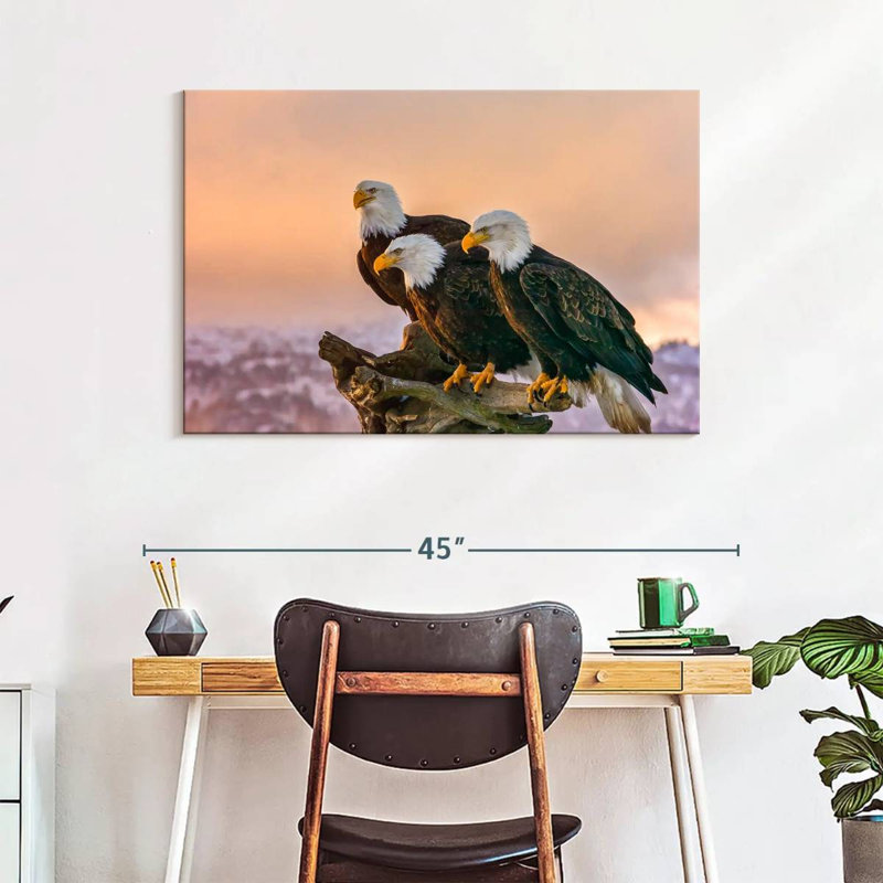 Brampt Three American Bald Eagles, H 26 po x l 39 po