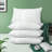 Pillow Insert-49165646