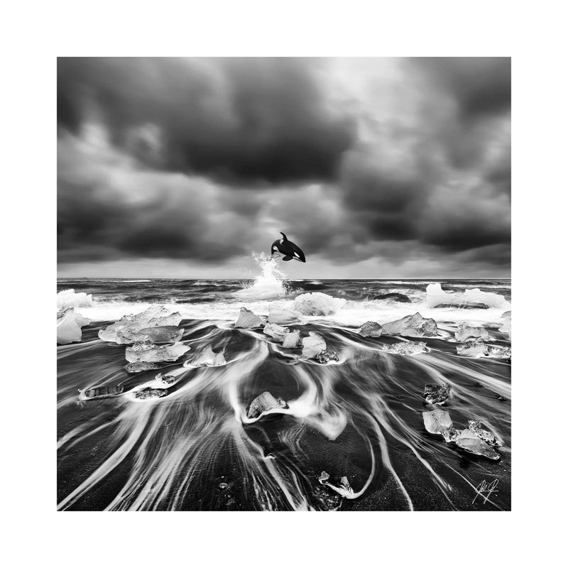 Ice Whale I by Kathrin Federer - Wrapped Canvas Gallery-Wrapped Canvas Giclée, 30.48cm H x 30.48cm W