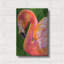  «Flamingo» par Tim Jeffs, art mural en métal, 12 po x 16 po-515882842