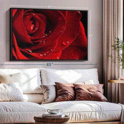 Fresh Red Rose Canvas Print