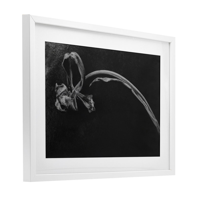 Doux effondrement, reproduction encadrée sous verre, par Amy Carroll, H 17 po x l 23 po, Cadre blanc côtier