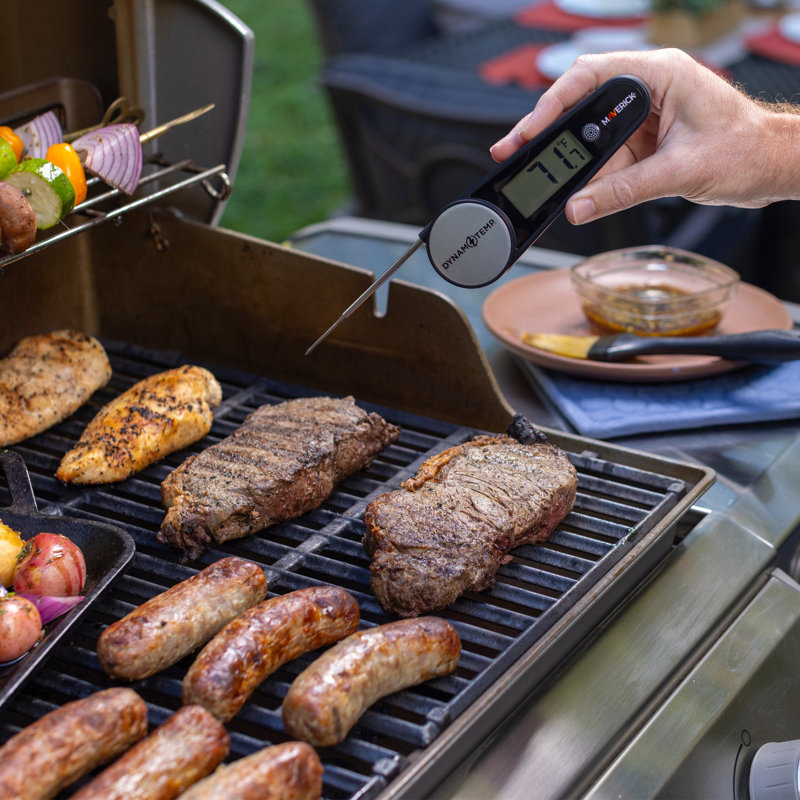 Dynamo Temp Instant Read Food Thermometer