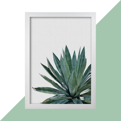 Agave Cactus - Print