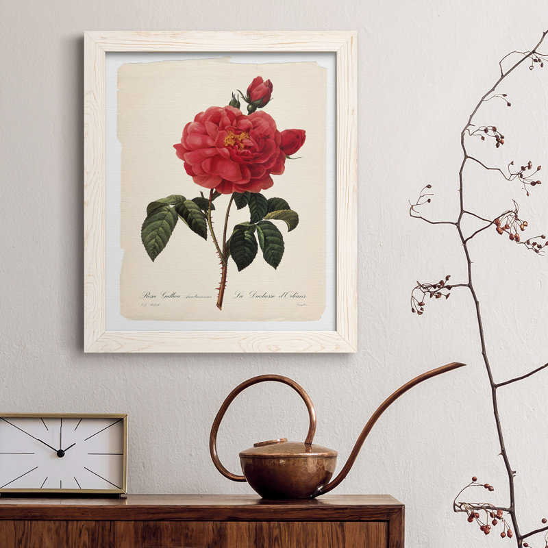 Red Botanical III - cadre photo, impression sur toile, Toile à cadre blanc, H 37,5 po x l 27,5 po x P 1,5 po