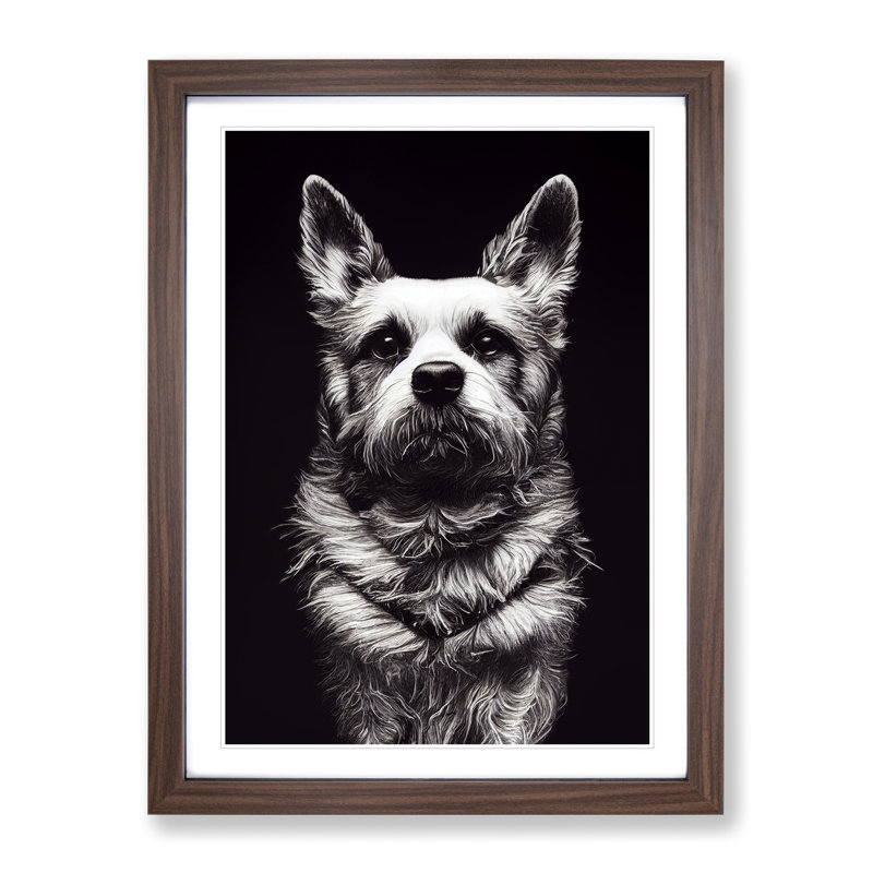 Monochrome Dog Portrait No.2 - Single Picture Frame Print, 46cm H x 34cm W, Brown