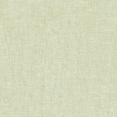 Italian Textures 4 Intreccio Congo Wallpaper
