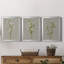 «White Field Flowers I», ensemble de 3 impressions sur toile encadrées-1995759347-1995759358