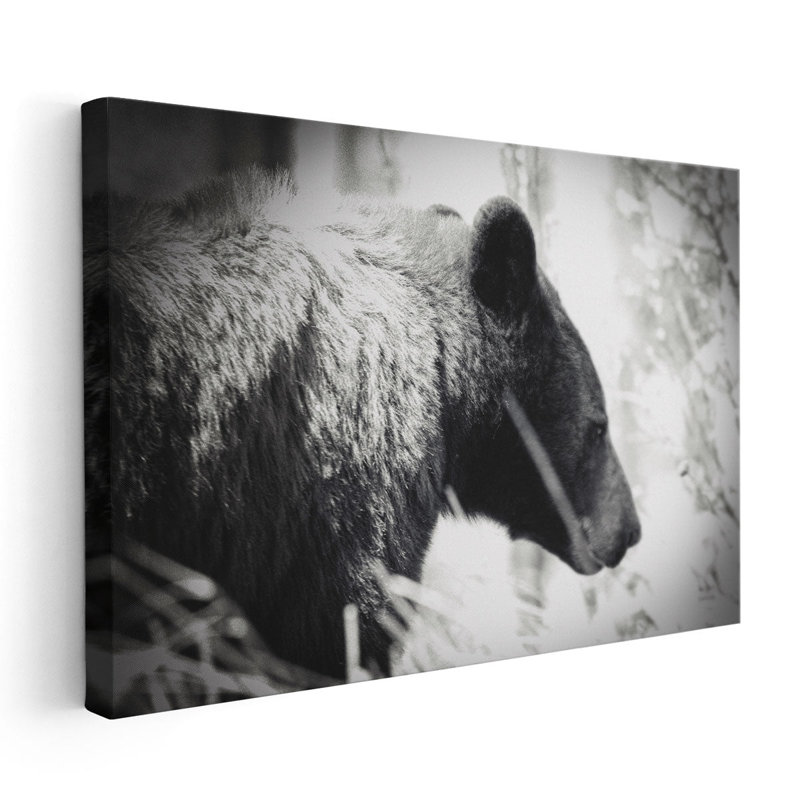 Ours émergent noir et blanc - reproduction d'art sur toile, H 20 po x l 30 po