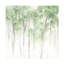 «Misty Grove I» sur toile-1009866431
