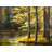Fall Landscape By The Water Print On Canvas