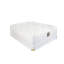 12'' Plush Latex Two-Sided Mattress