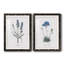 Lavande - ensemble de 2 reproductions d'impressions-484035940-484035728-467967548