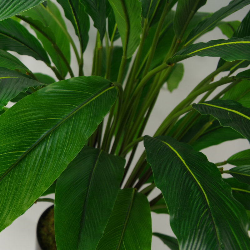 Anjeli 60cm Faux Foliage Plant in Pot