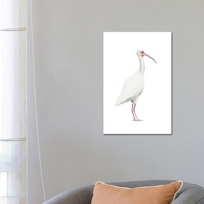 Ibis by Wandering Laur - Wrapped Canvas Painting