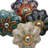 1 3/16" Diameter Round Knob Multipack