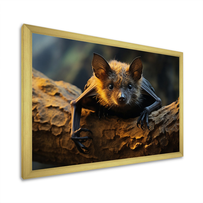 Portrait de chauve-souris II - animaux, impressions sur toile, Encadrement doré, H 30 po x l 40 po x P 1,5 po