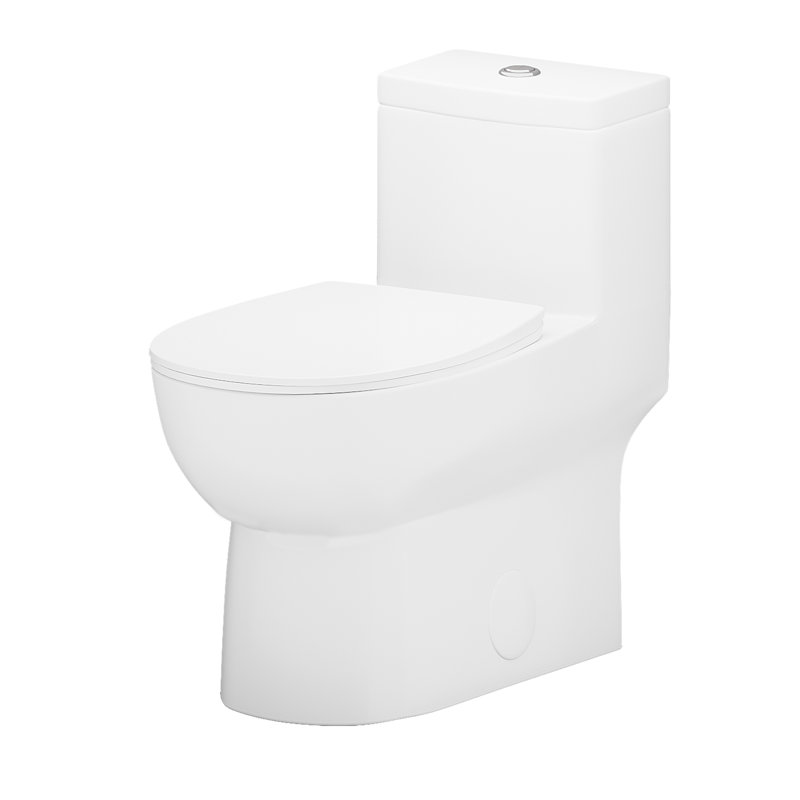 Toilette une pièce à double chasse