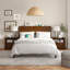 Pieds en bois massif Boneva Mid-Century Modern-96122416-96122417