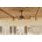 Nani 56'' Ceiling Fan-612010861