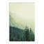 Rocky Mountain by Lynann Colligan-1631653520-1631653526