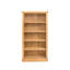 Kacey 180 cm H x 90 cm W Standard Bookcase-16440483