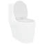 Anthracite Plastic Standard Adjustable Armrests Toilet Seat-1215608315