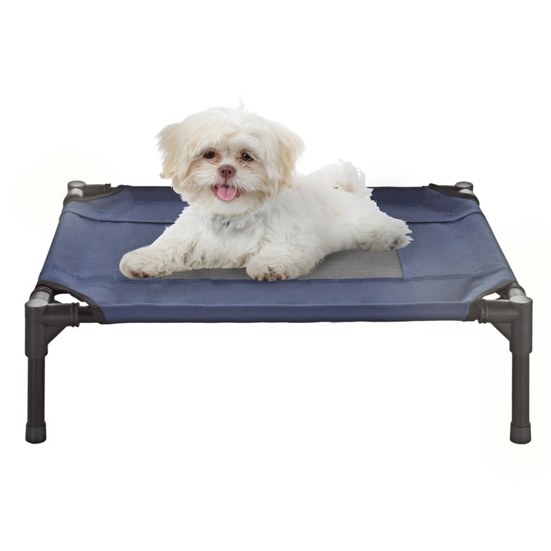 Lit pour chien surélevé 24,5 po x 18,5 po PETMAKER - Bleu, Petit (l 24 po x P 18 po x H 7 po), Bleu