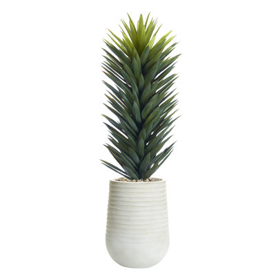 Tall Agave Sisalana in White Artemis Planter